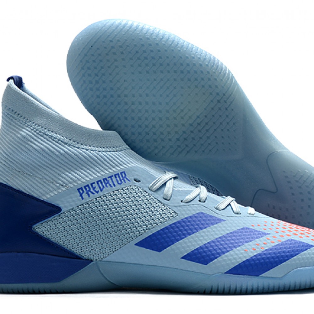 blue and orange predators